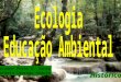 Ecologia Educação Ambiental