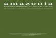 Amazonia: Brazilian Challenge of the XXI Century