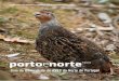Guia de Observação de Aves do Norte de Portugal