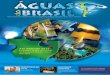 Revista Aguas do Brasil - em edição