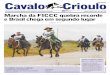 Jornal Cavalo Crioulo Junho/2010