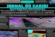 Jornal do Cariri - 29 de abril a 05 de maio de 2014