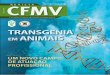 Revista CFMV 53