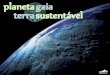 Plano Municipal de Sustentabilidade - Vila Nova de Gaia