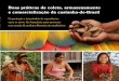 Boas práticas de coleta, armazenamento e comercialização da castanha-do-Brasil