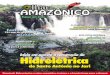 Revista Olhar Amazônico - 2ª Edição