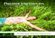 Revista Herbarium Edicao 01
