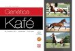 Genética kafé catalogo2014
