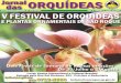 Jornal das orquideas - 1 edição