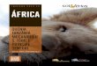 África - Inverno 2012/20013