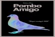 Pombo Amigo (Matheus Mota)