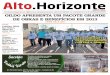 Jornal Alto Horizonte - Edição 28 - Novembro