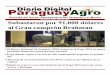 Diario Digital Paraguay Agro - 17/07/13