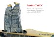 AutoCAD 2010 PT para download