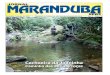 Jornal Maranduba News #58