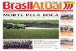 Jornal Brasil Atual - Peruibe 12