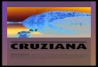 Cruziana Report 67 (pt)