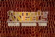 Slide Female Angels - Discos Diamond Tour