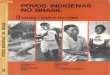 Povos Indígenas no Brasil - volume 3