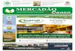 Jornal Mercadao Ceasa