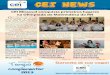 CEI News (Nov/2012)