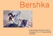 Catálogo Bershka