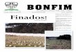 Notícias do Bonfim 2004