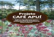 Relatório: Projeto Café Apuí