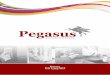 Pegasus - INTERMEC