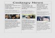Cedaspy News