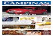 Jornal Campinas Café n° 213