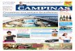 Jornal Campinas Cafe edição 184