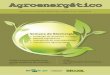 Agroenergético ed. 40