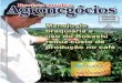 Edição 40 - Revista de Agronegócios - Novembro/2009