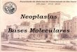 Neoplasias - Bases Moleculares