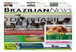 Brazilian News 530