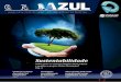 Jornal Canal Azul - Edição 17