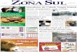 16 a 22 de janeiro de 2009 - Jornal Zona Sul
