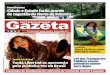 Gazeta Niteroiense • Online nº 17
