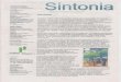 Informativo Sintonia n° 1