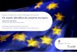 Os atuais desafios do projeto europeu