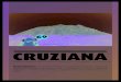 Cruziana Report 69 (pt)