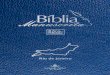Bíblia Manuscrita - RJ - Volume 2