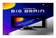 A Teoria do Big Brain