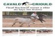 Jornal Cavalo Crioulo - fevereiro 2011