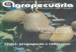 Revista Agropecuária Catarinense - Nº20 dezembro 1992