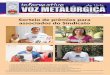 Informativo Voz Metalúrgica - Janeiro 2011