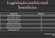 Evolução da legislação ambiental do Brasil - 8ºC