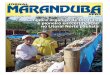 Jornal Maranduba News #49
