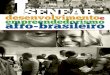 I SENEAB - Desenvolvimento e Empreendedorismo Afro-brasileiro